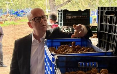 Havran’da Çiftçinin Zorlu Mücadelesi: İncir ve Zeytin Üreticileri Zor Durumda